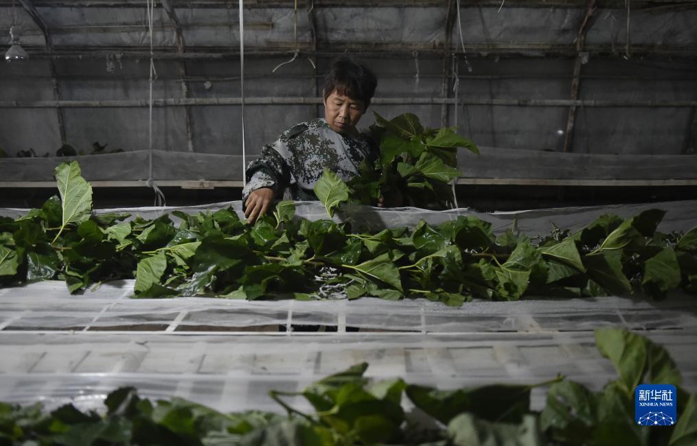 奔驰宝马电玩城下载